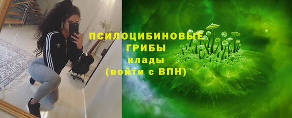 винт Алексеевка