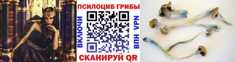 Псилоцибиновые грибы Psilocybe Кыштым